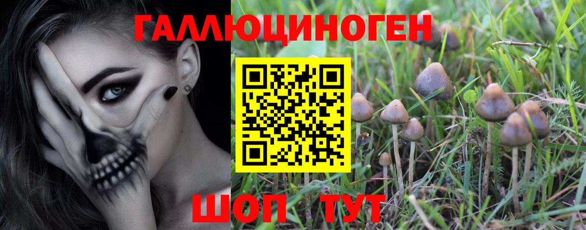 Псилоцибиновые грибы MAGIC MUSHROOMS  продажа наркотиков  Галлюциногенные грибы Cubensis  Краснодар  Вход с VPN 